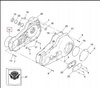 Uszczelka Wewnętrznej Pokrywy Sprzęgła Harley