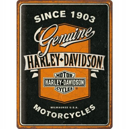 Plakat metalowy 30x40 Harley-Davidson Ribbo