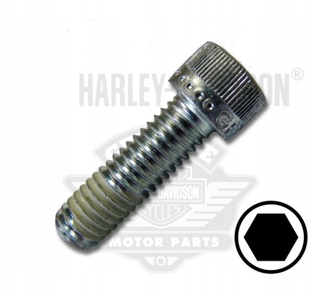 Śruba mocowania podestu pasażera Harley Davidson touring (2szt)