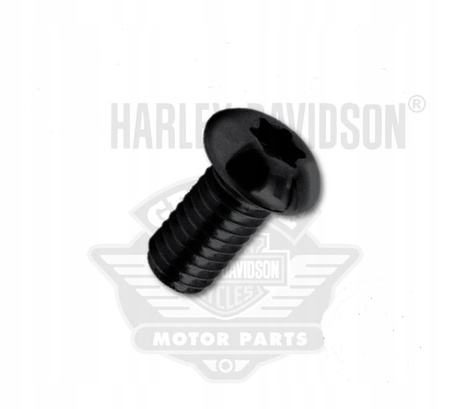 ŚRUBA,TYPU TORX DO OWIEWKI HARLEY DAVIDSON 8SZT 1/4"-20X5/8