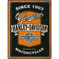 Plakat metalowy 30x40 Harley-Davidson Ribbo